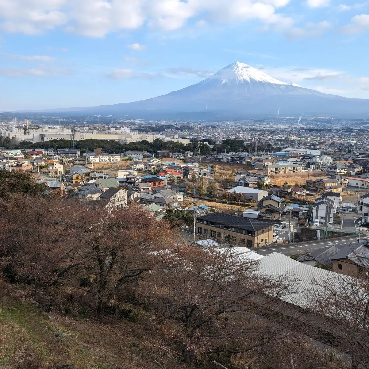 Cサイト付近の、河津桜が咲始めました🌸2月は河津桜、3月末は...