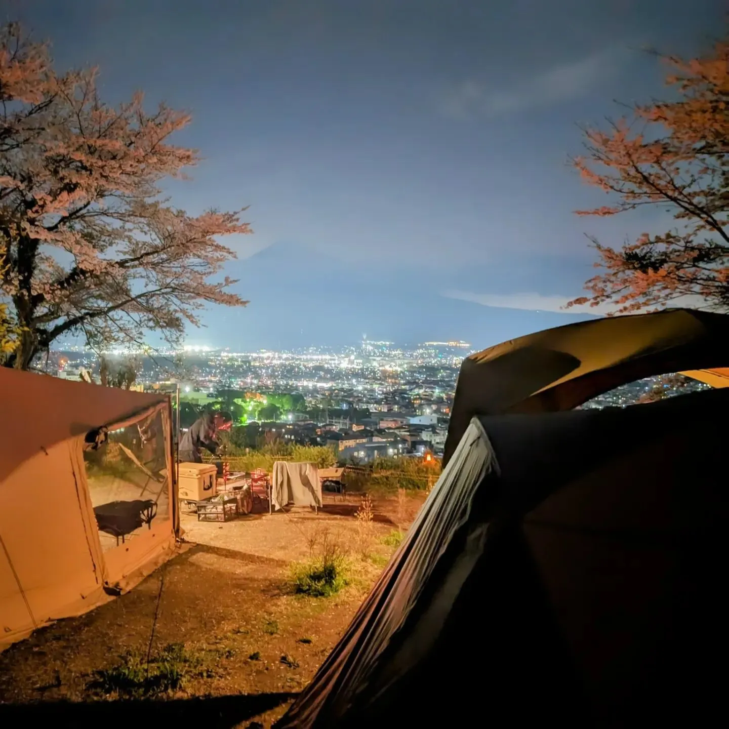 富士山🗻夜景🌃夜桜🌸