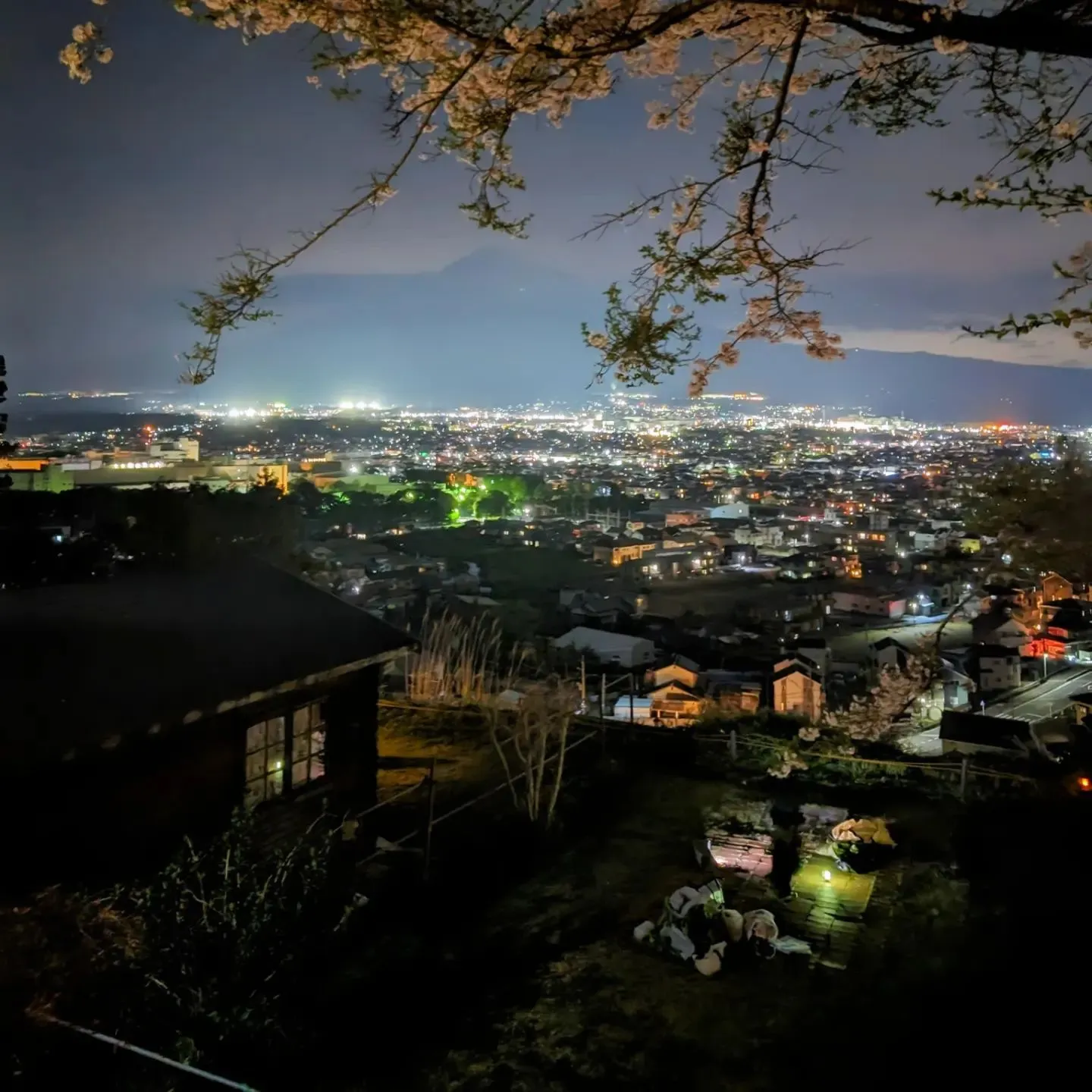 富士山🗻夜景🌃夜桜🌸