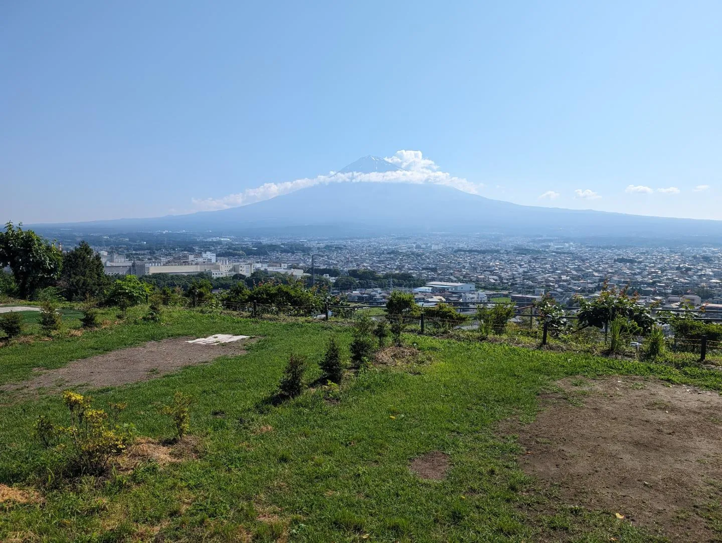 今日もよく晴れてます！