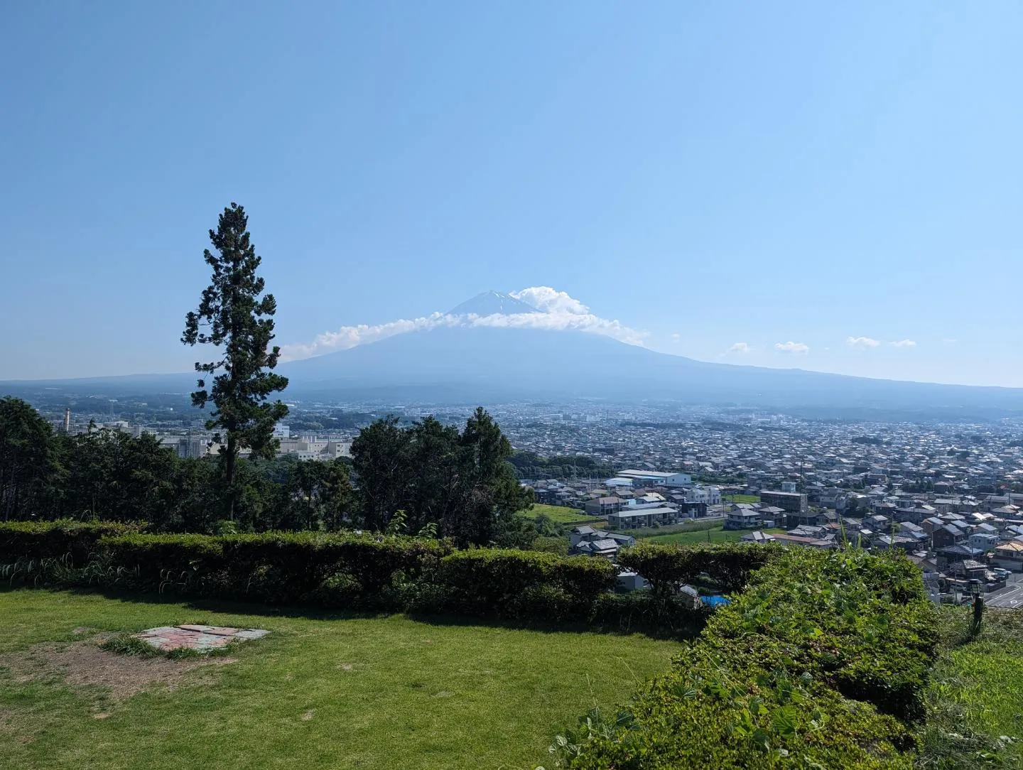 今日もよく晴れてます！