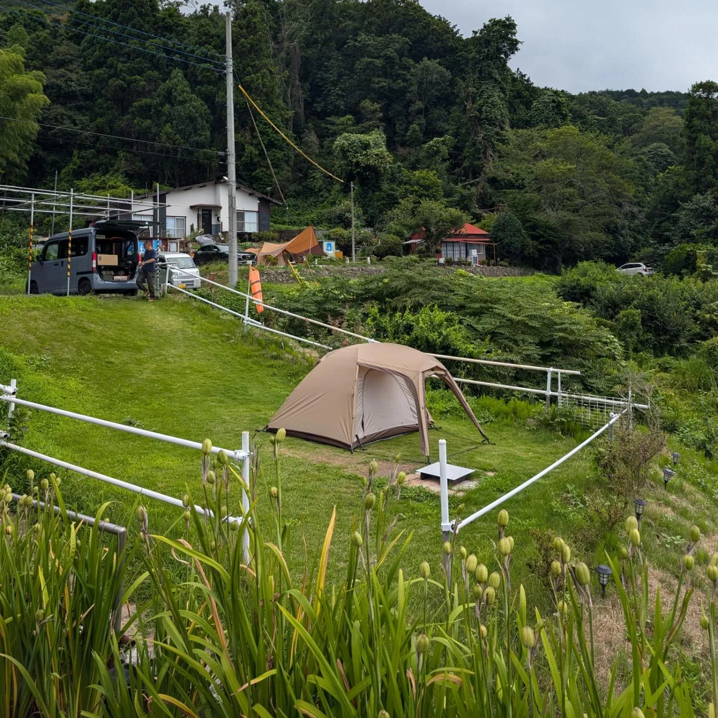 暑い日が続いてます💦