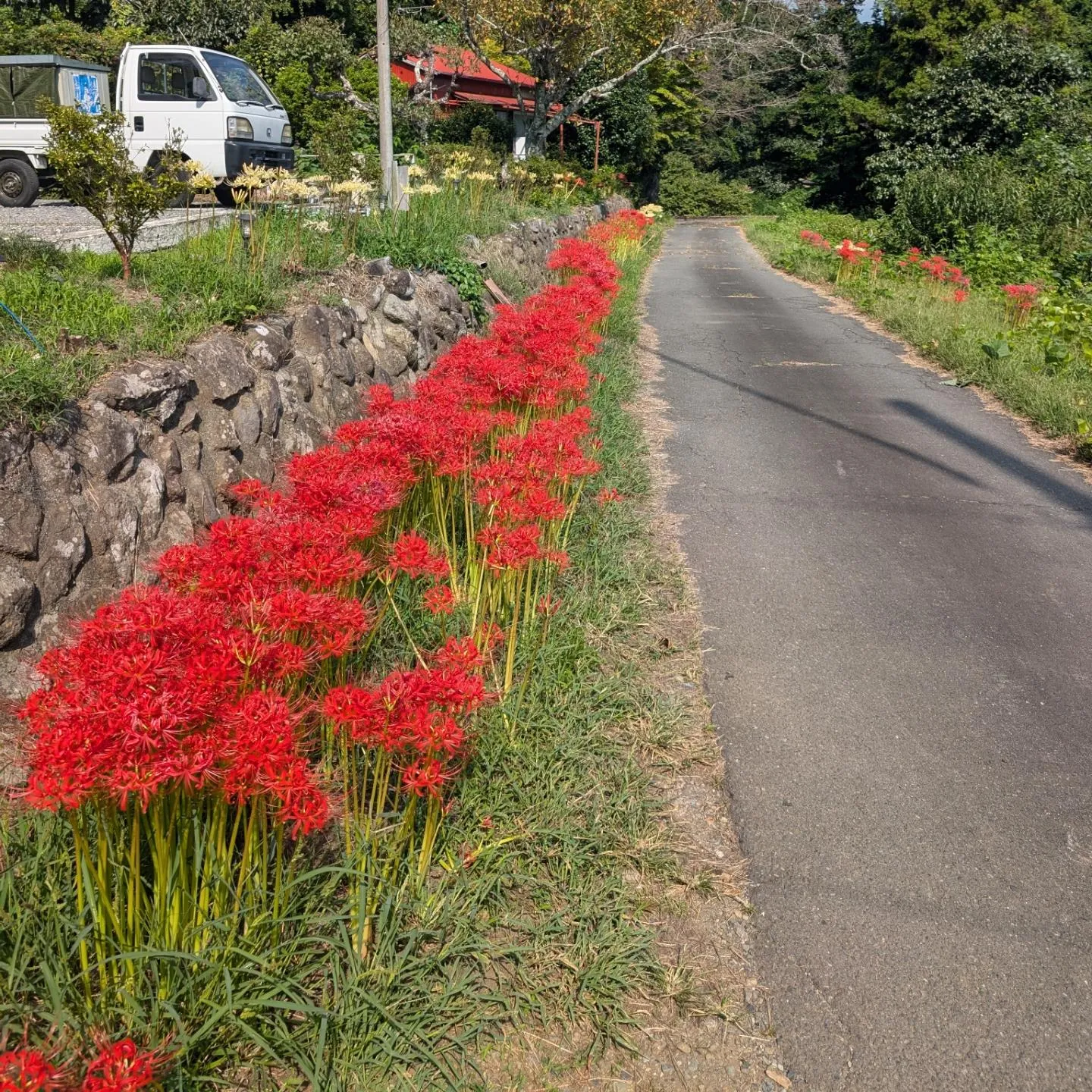 いよいよ10月、秋本番！