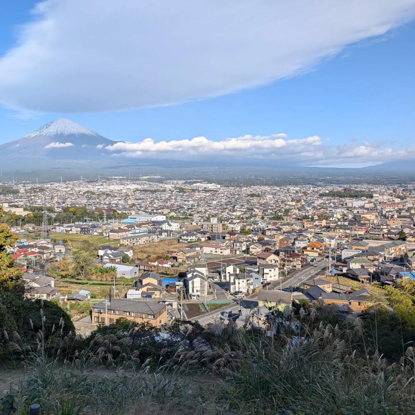 今日は全てのお客様がソロキャンパーでした😁