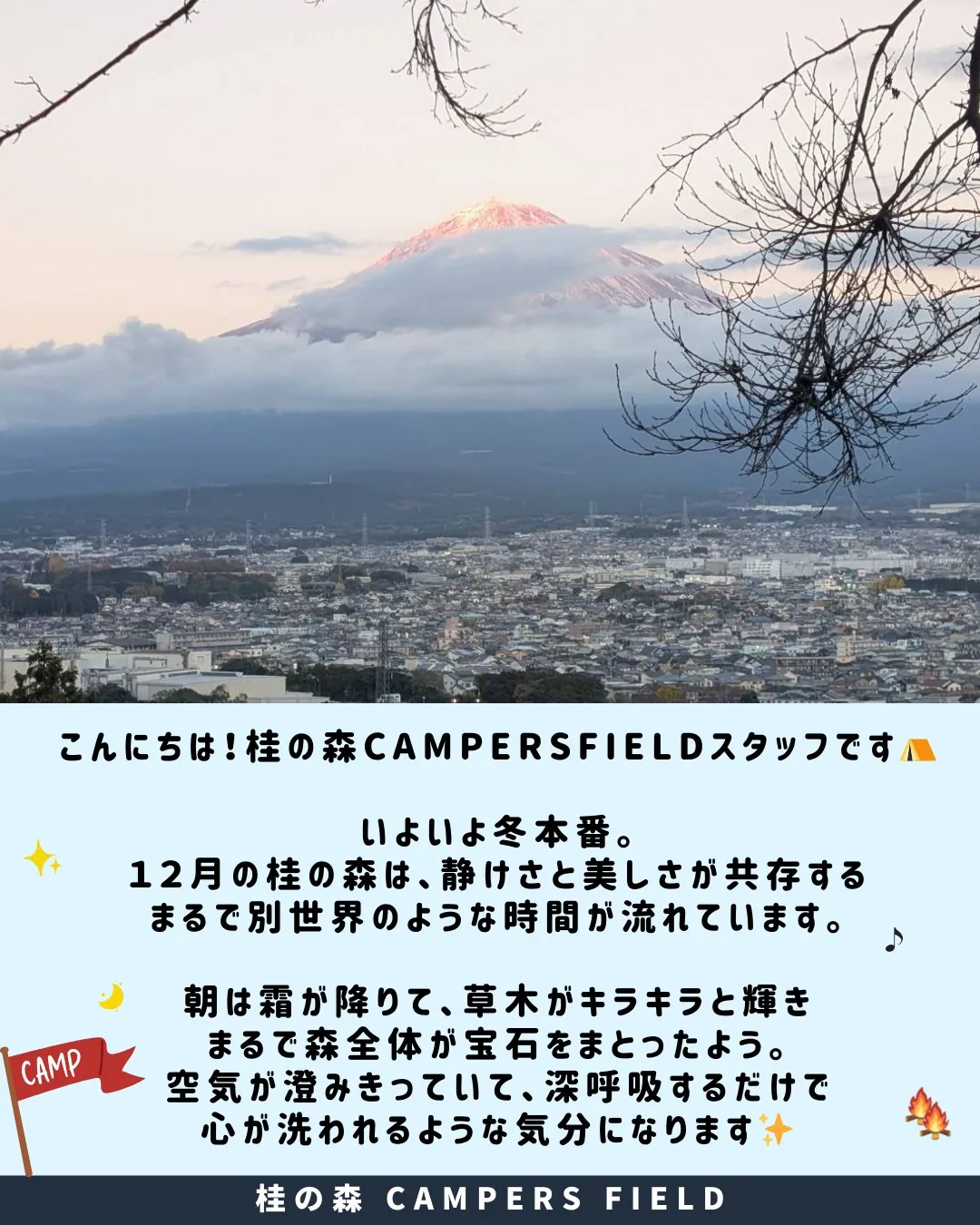 ❄️🌲別世界へようこそ！12月の桂の森 CAMPERS FI...