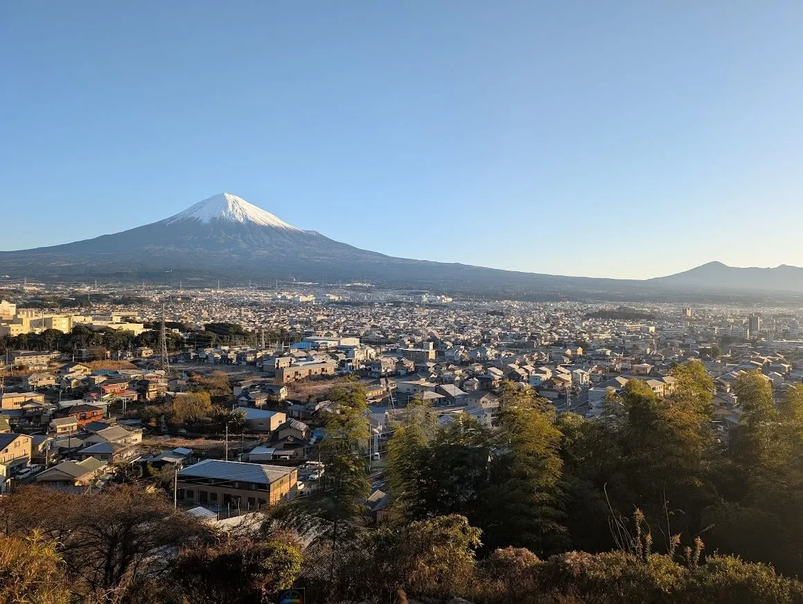 「桂の森CAMPERSFIELD」です🌲✨