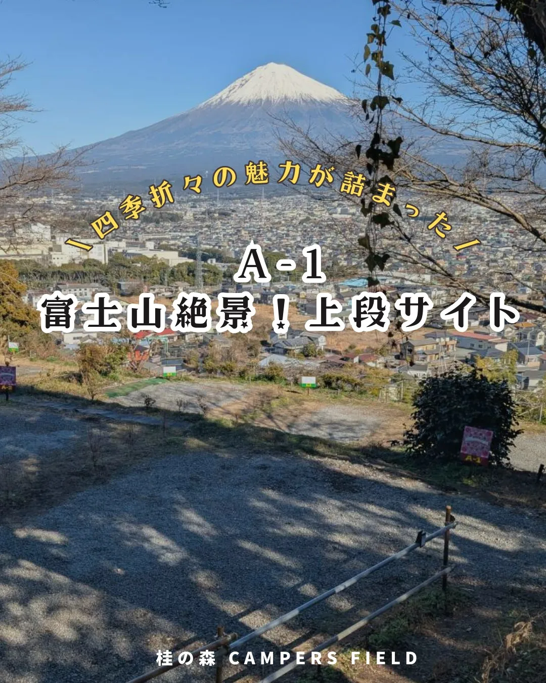 皆さま、こんばんは！桂の森CAMPERSFIELDです🌙✨