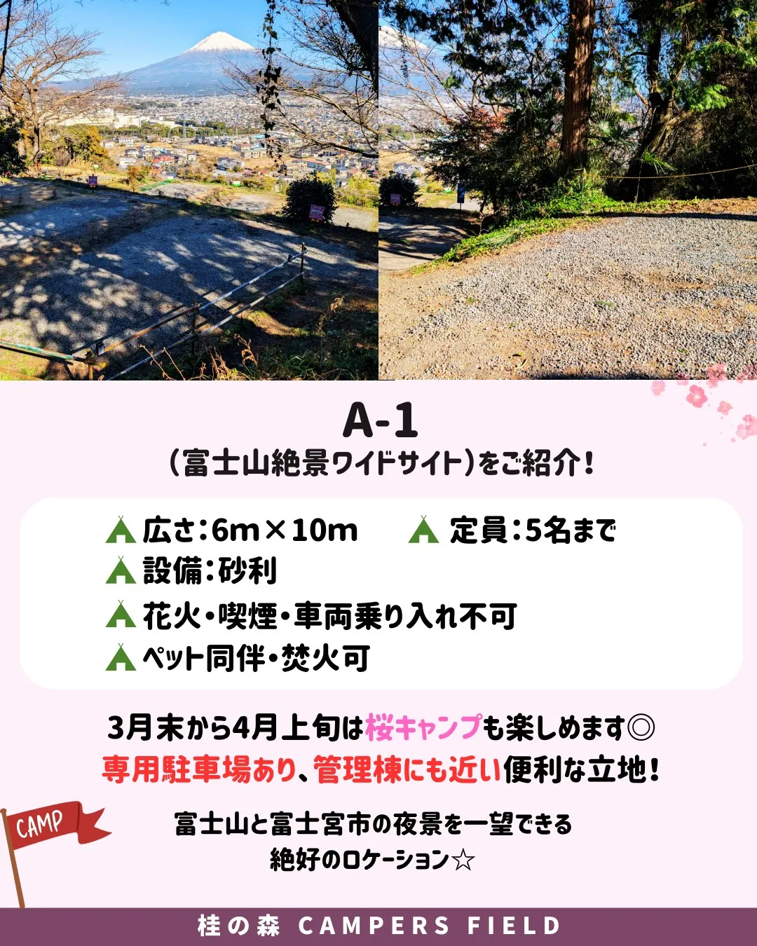 皆さま、こんばんは！桂の森CAMPERSFIELDです🌙✨