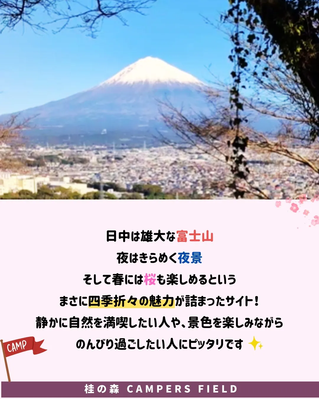 皆さま、こんばんは！桂の森CAMPERSFIELDです🌙✨