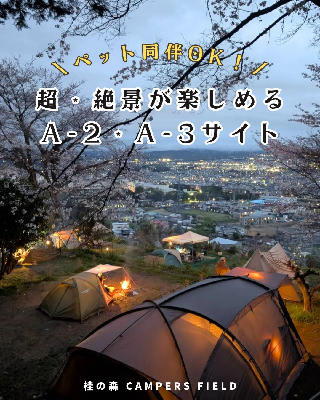 【利便性も景色も欲張れる！🌸春は桜の特等席になるA-2・A-...