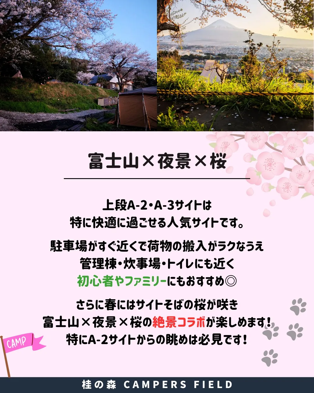 【利便性も景色も欲張れる！🌸春は桜の特等席になるA-2・A-...