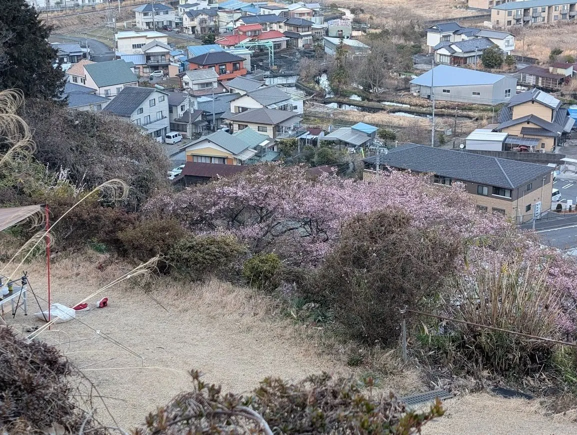 皆様こんばんは！桂の森CAMPERSFIELDです🗻✨