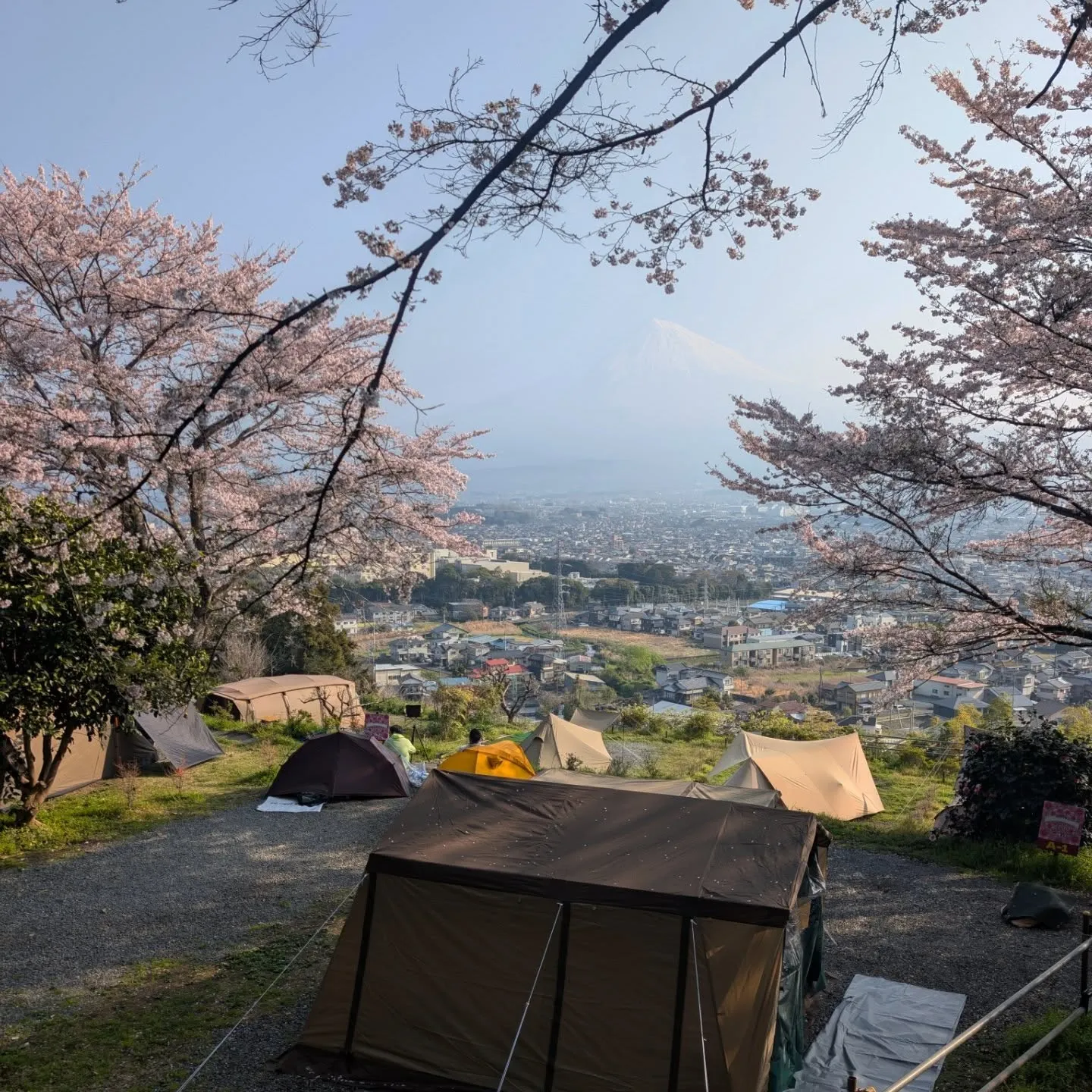 ​3月もたくさんのご来場、