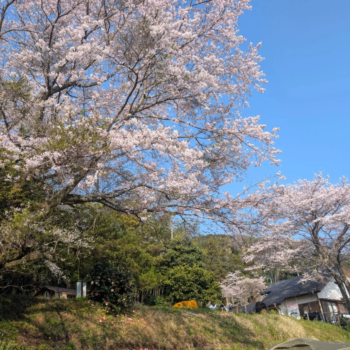 ​3月もたくさんのご来場、