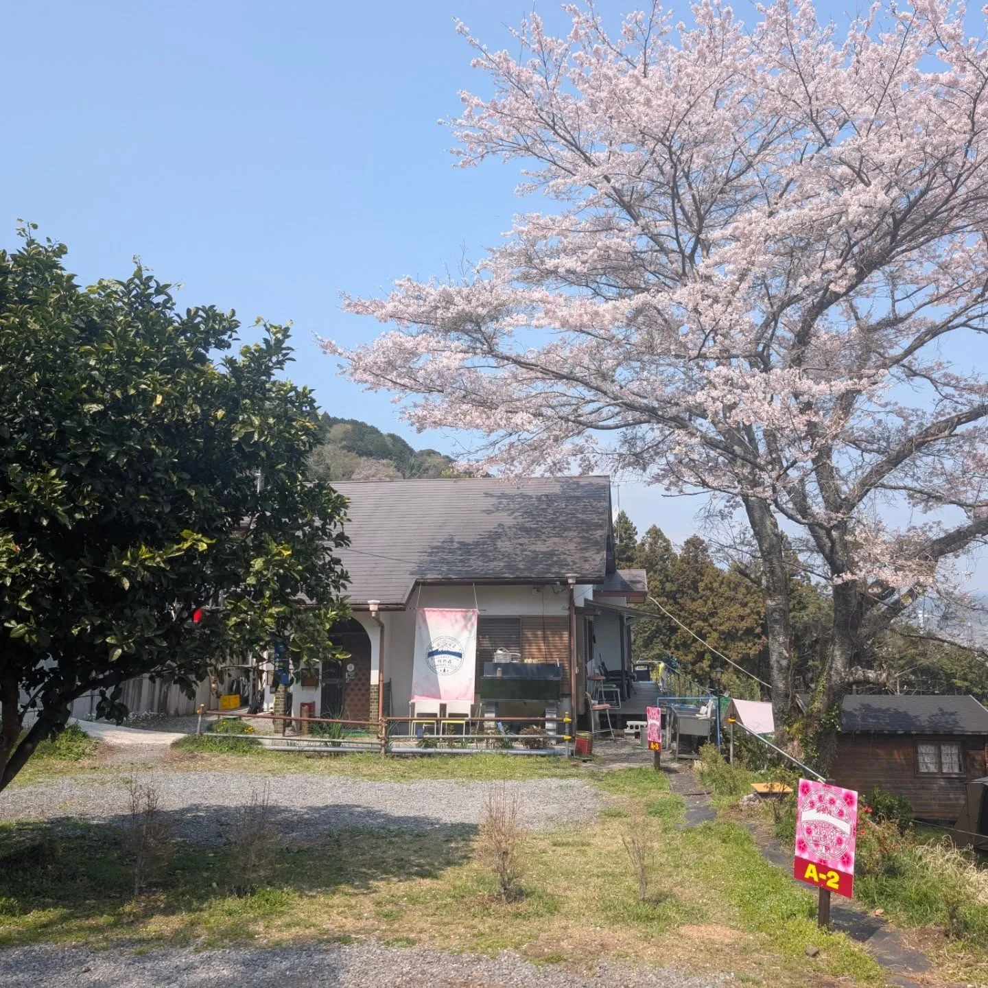 ​3月もたくさんのご来場、