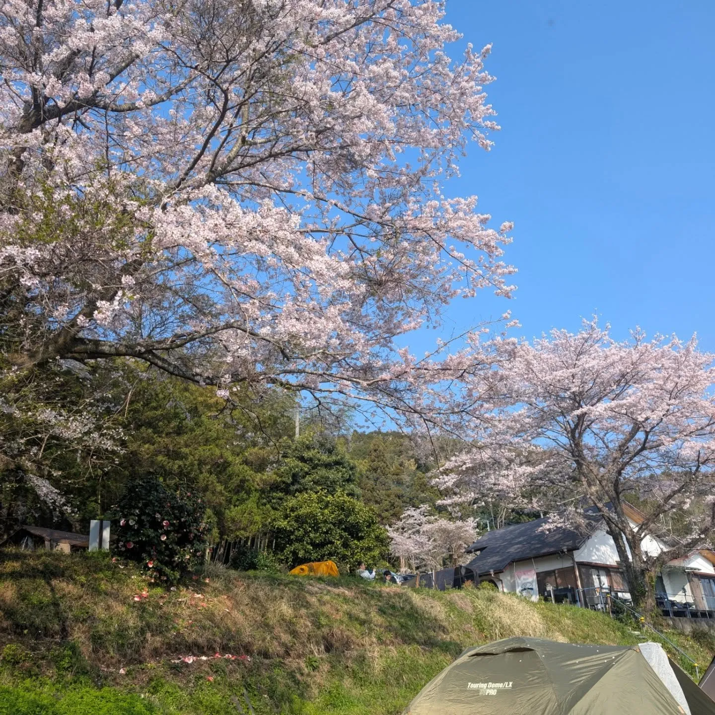 ​3月もたくさんのご来場、