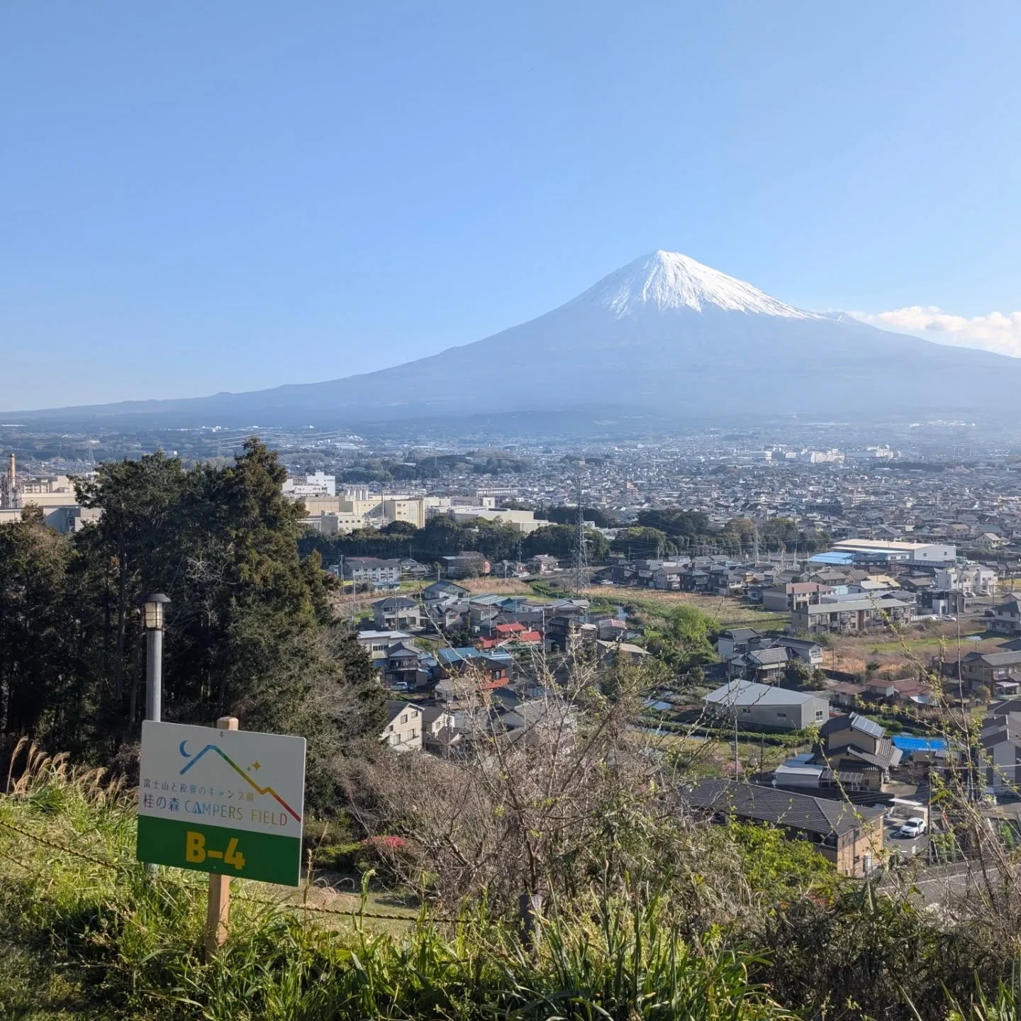 4月の桂の森CAMPERSFIELD