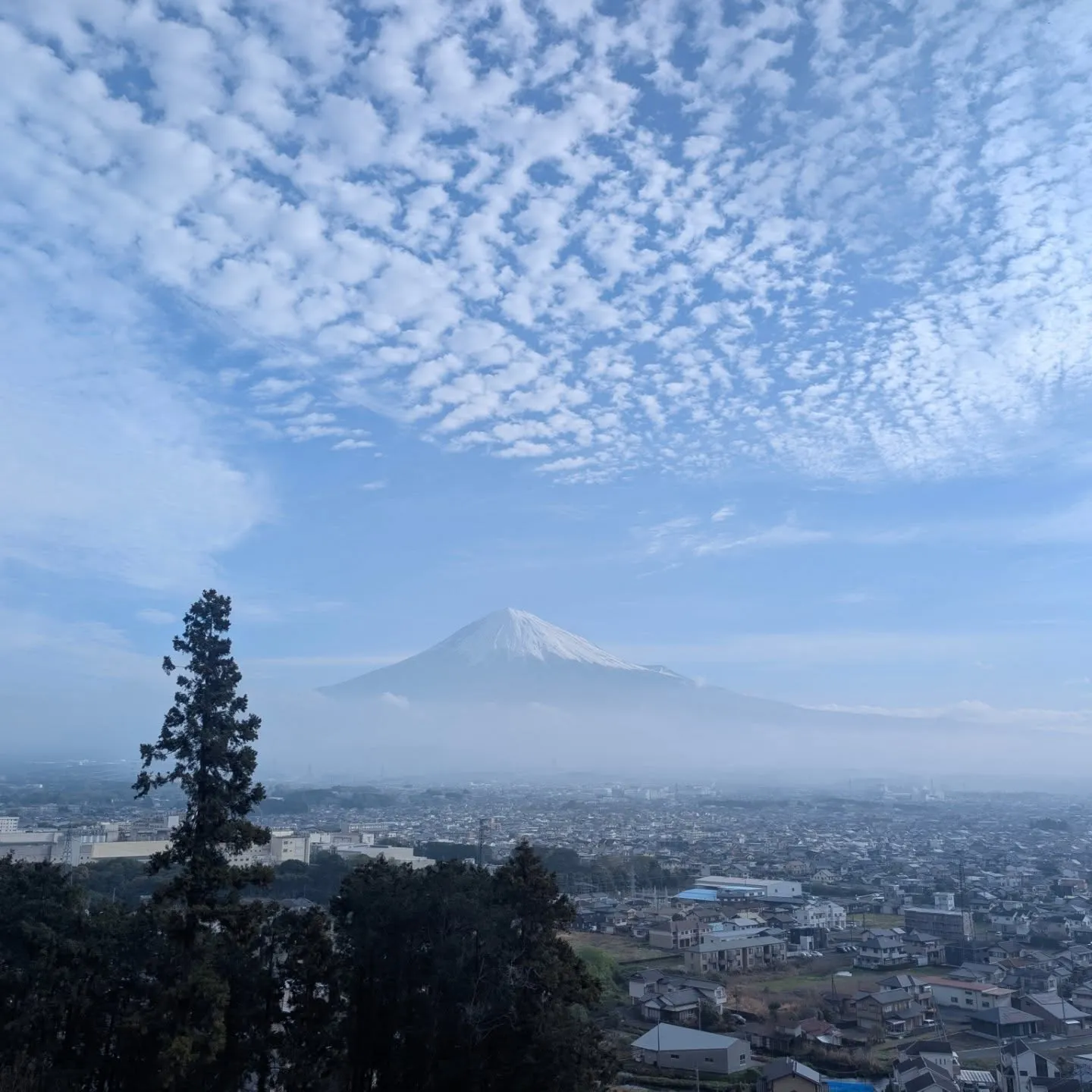 4月の桂の森CAMPERSFIELD