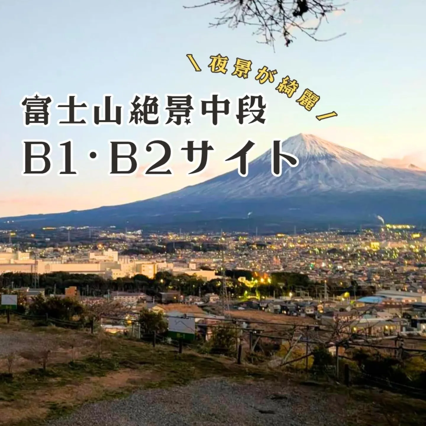 今回は、場内の中段に位置する