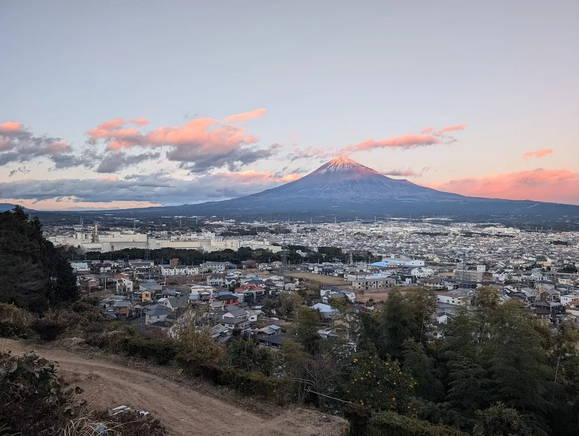 木漏れ日の記憶、富士の息吹。写真でめぐる「桂の森」の四季