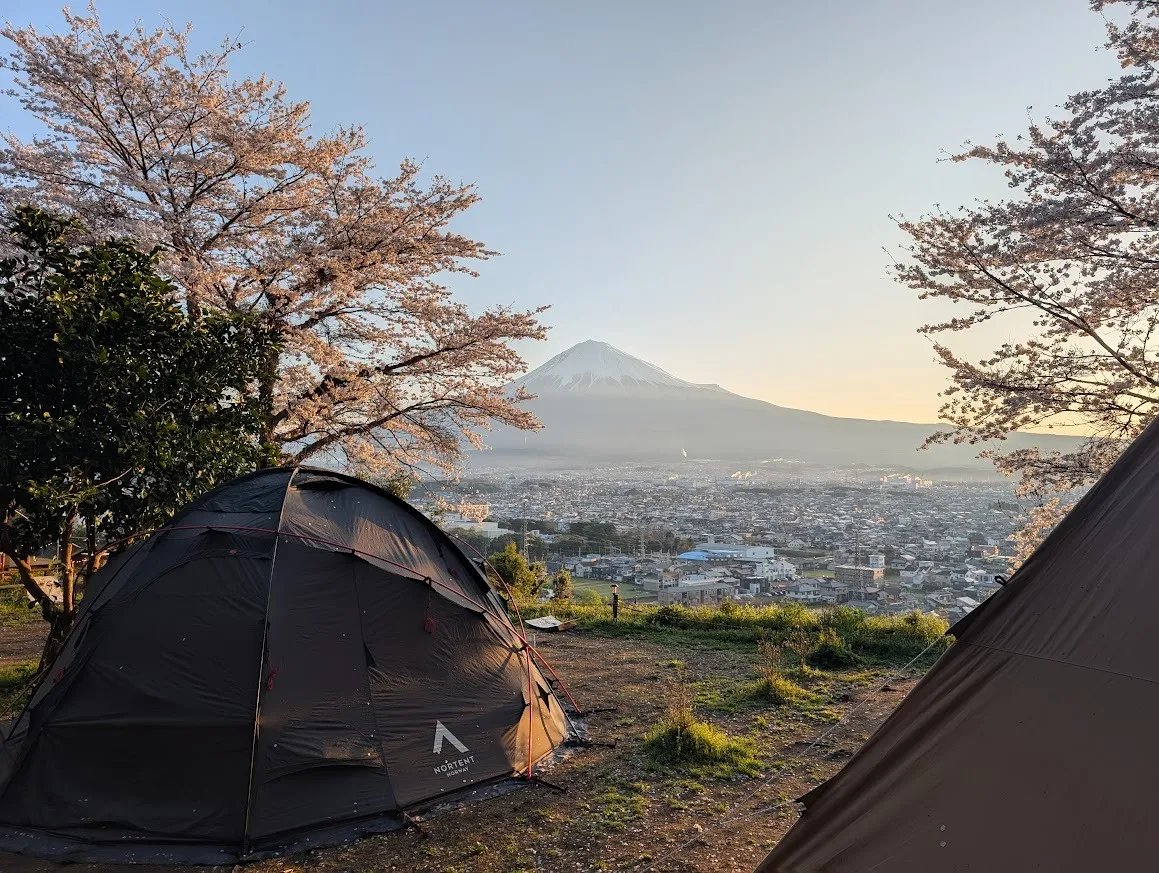 木漏れ日の記憶、富士の息吹。写真でめぐる「桂の森」の四季