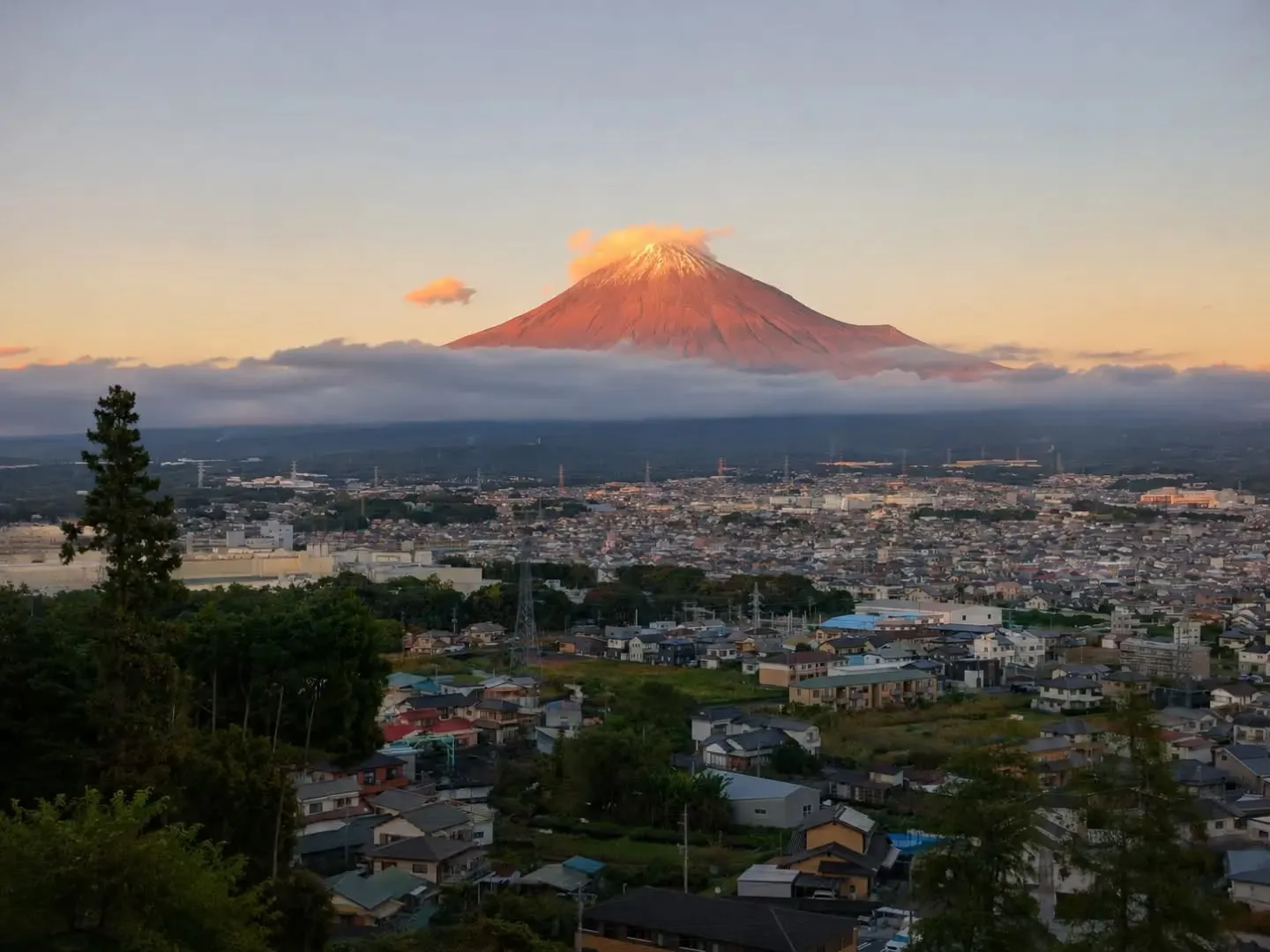 🗻 秋の桂の森は、赤富士が見ごろ。