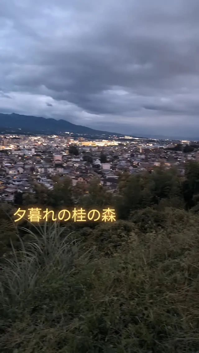 #桂の森campersfield 