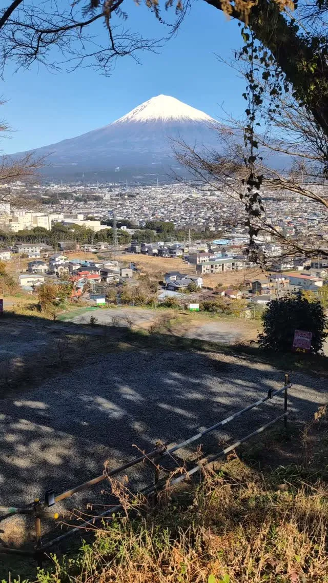 #桂の森campersfield 