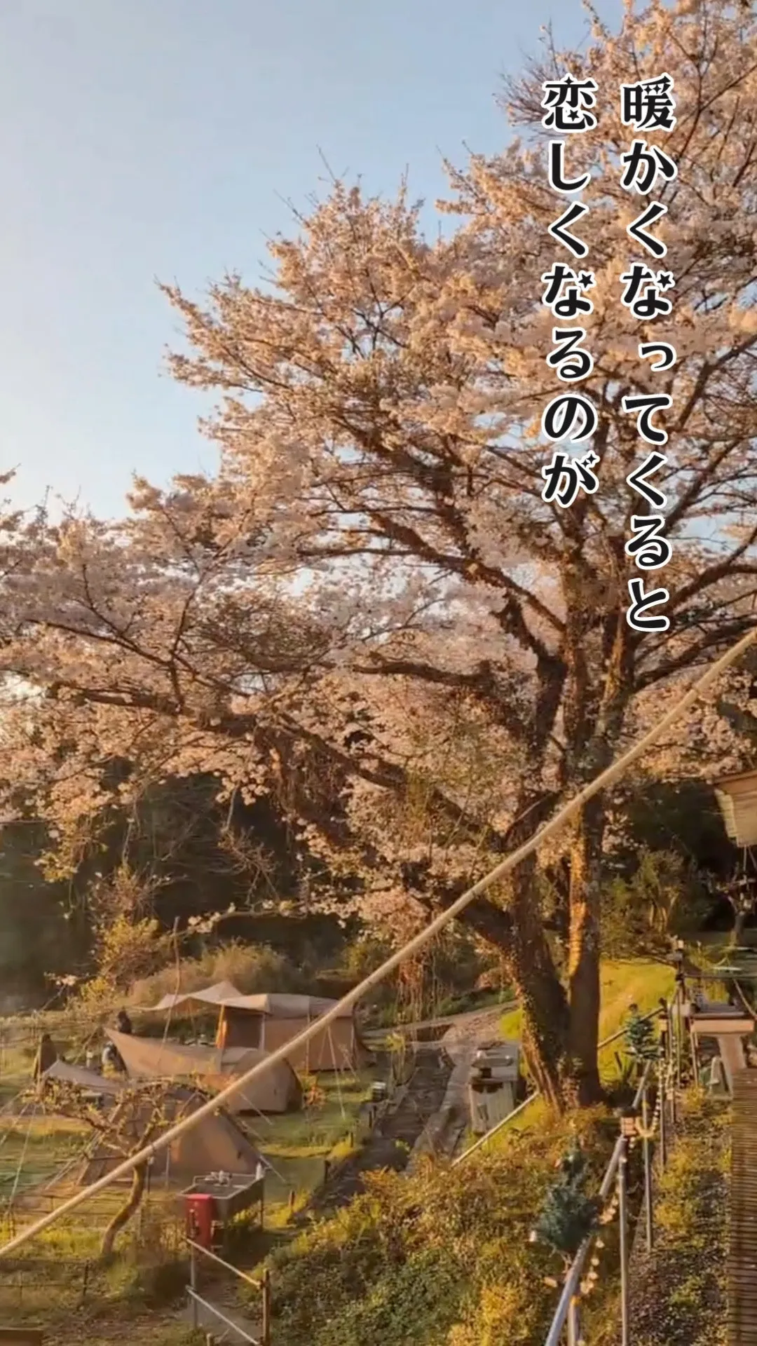 この春、絶対に行きたい！