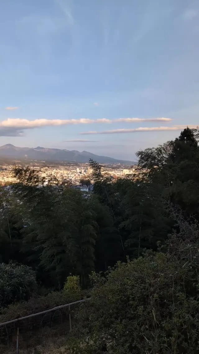 #桂の森campersfield 