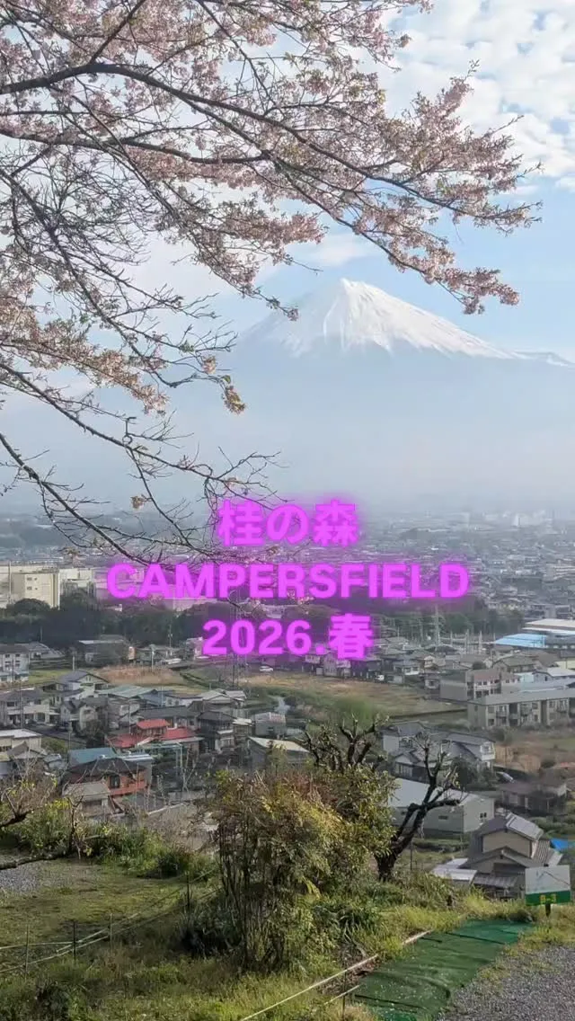 ​今年の桜キャンプも、本当に最高の時間でした🌸✨