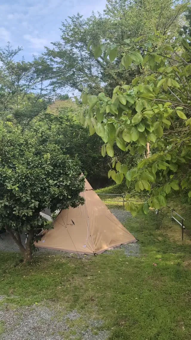 #桂の森campersfield 