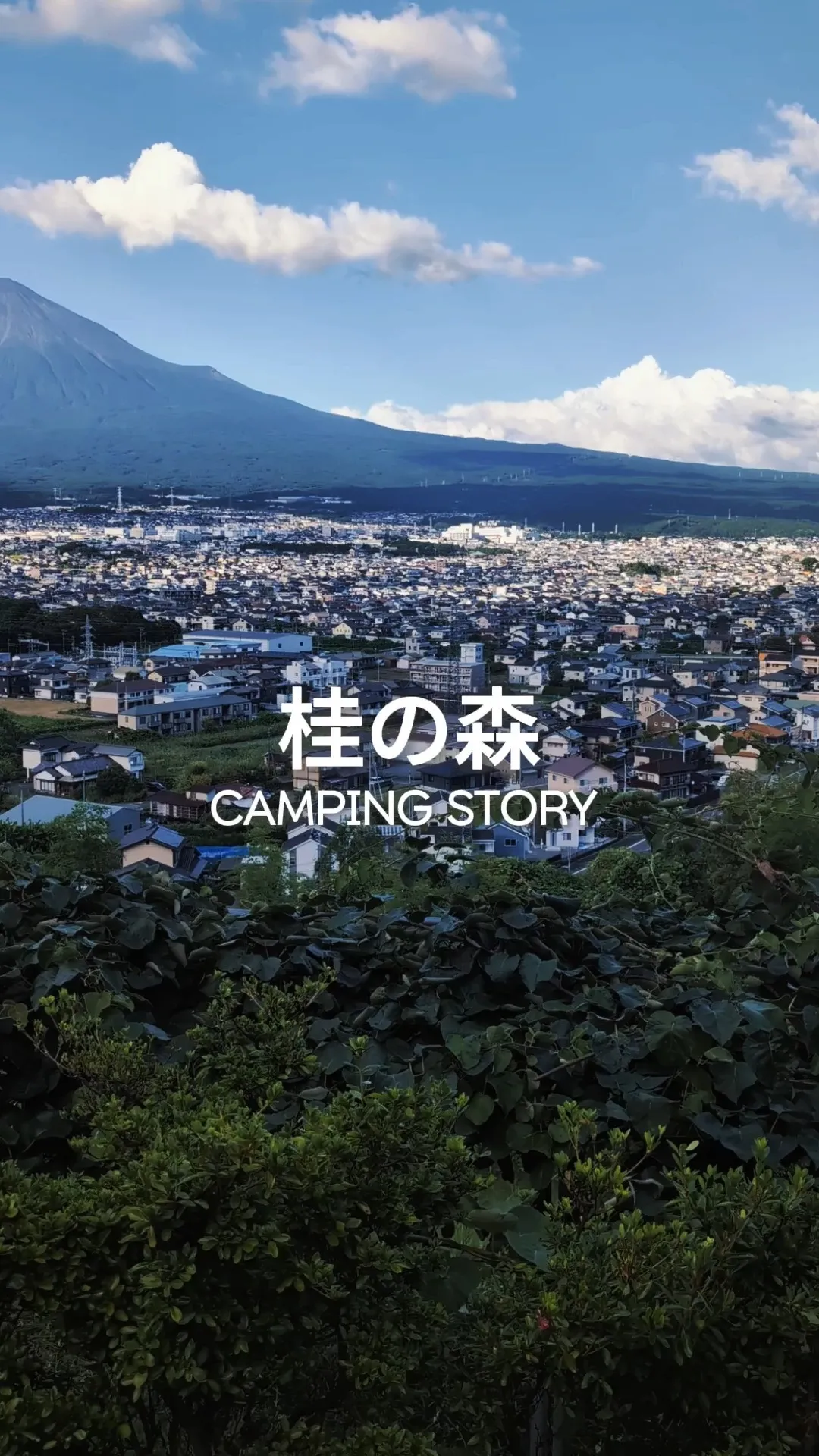 昼は富士山、夜は街明かり🗻✨